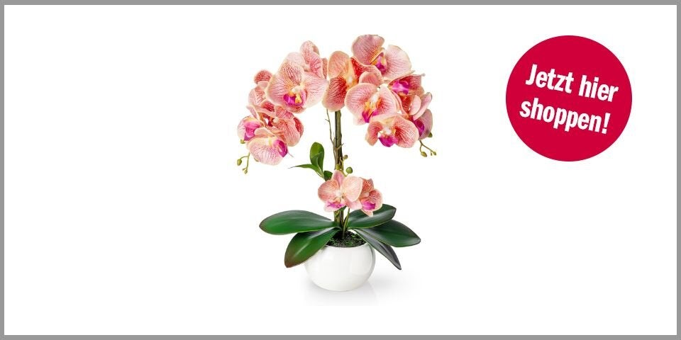 Künstliche Orchidee – 30,24 Euro bei Amazon*