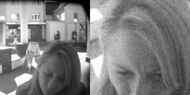 Das ist Österreichs gemeinste Diebin