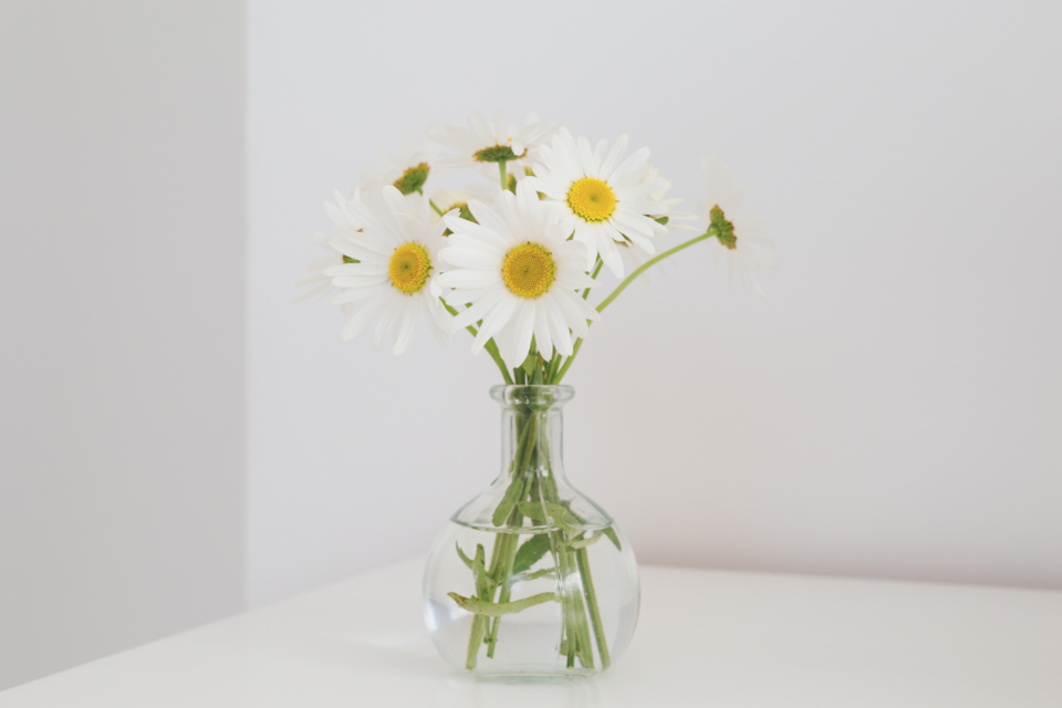 Falsche Botschaft: Diese Blumen sollten Sie nicht zum Muttertag verschenken