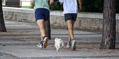 Die Lauf-Saison ist eröffnet