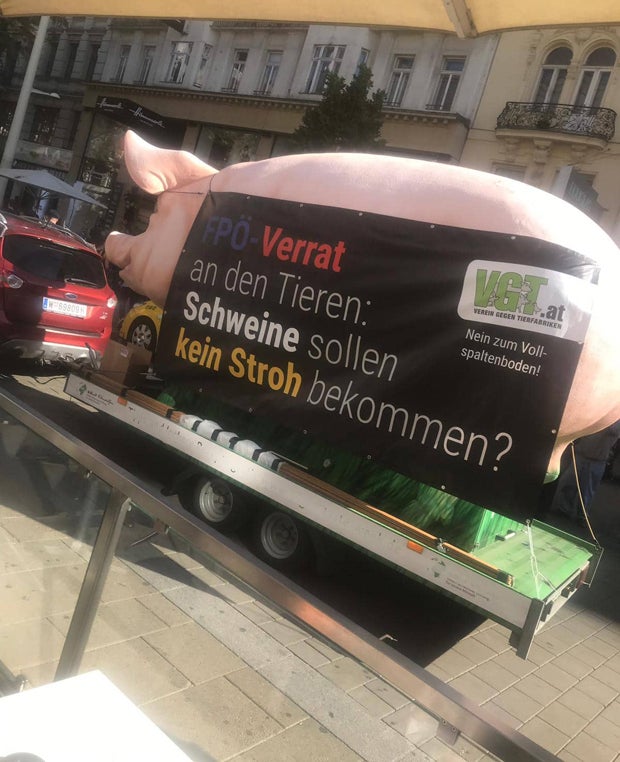 Demos sorgen für totales Verkehrs-Chaos in Wien
