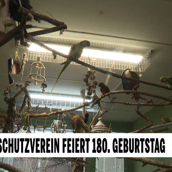 Das große Tierschutz-Magazin
