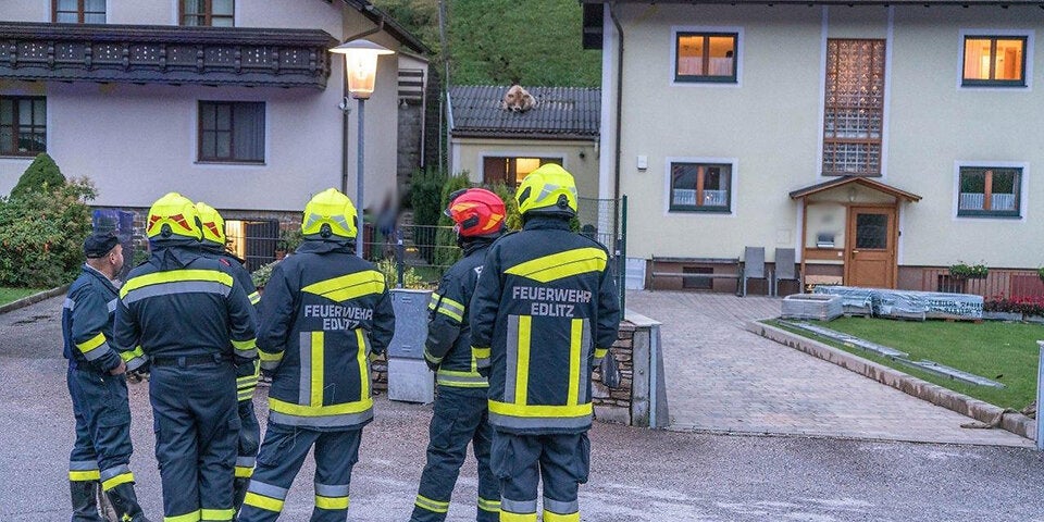 700-Kilo-Kuh bricht auf Dach ein: Feuerwehreinsatz