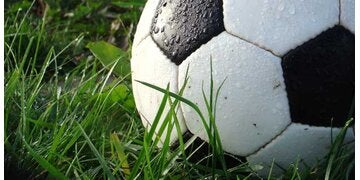730_fussball_sxc.jpg