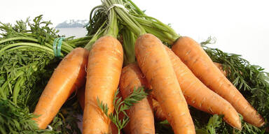 Gem&uuml;se hat immer Saison