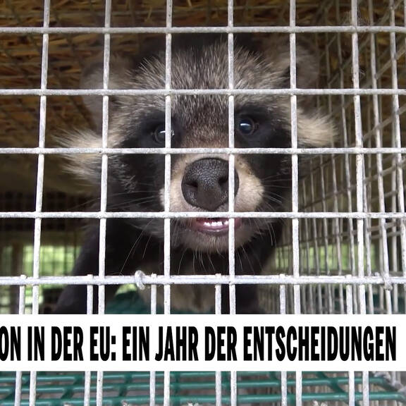 Unsere Tiere: Das große Tierschutz-Magazin