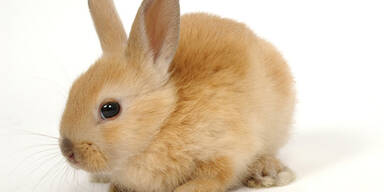 Europas gr&ouml;&szlig;ter Zoo-Fachmarkt