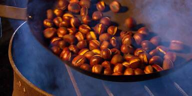 DARUM sind Wiener Maronis schmackhaft wie noch nie
