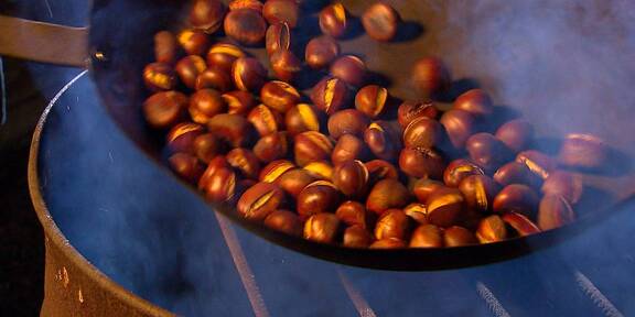 DARUM sind Wiener Maronis schmackhaft wie noch nie