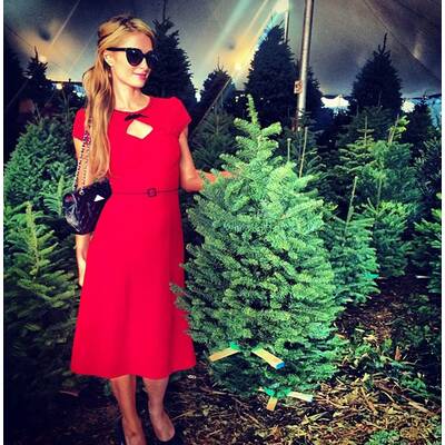 Die Stars sind schon in Weihnachts-Stimmung