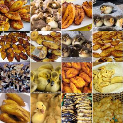 Entlein oder Kochbanane