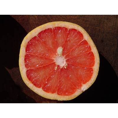 Lebensmittel mit Bitterstoffen