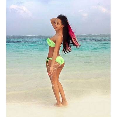 Kolibri im Malediven-Urlaub