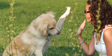 Sexy dank Vierbeiner