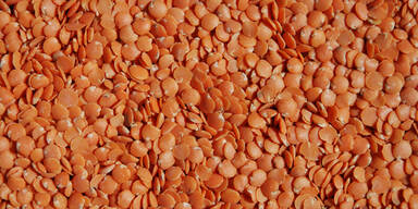 Das zügelt unseren Appetit