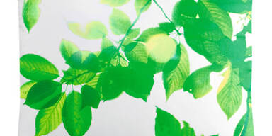 Jetzt: Frühling in die Wohnung holen