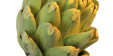 Jünger, schöner & gesünder mit Kräutern