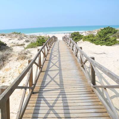 10. Cathedral Cove, Hahei, Coromandel (Neuseeland)