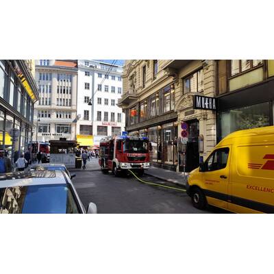 Leiche in Wiener City
