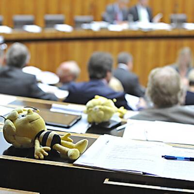 Die Bilder zur Bienen-Sitzung