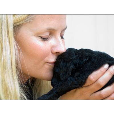 Mette-Marit und Prinz Haakon im Hunde-Glück