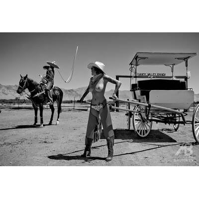 Fine Nude Art Kalender 2014