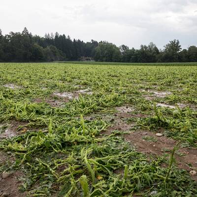 Hagel aus Superzelle
