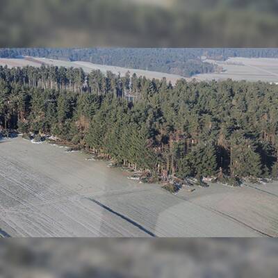 So enorm sind die Schäden