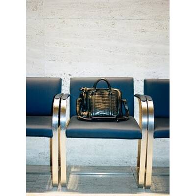 Louis Vuitton H/W 2010