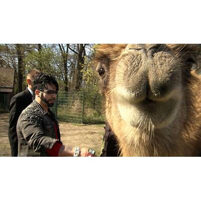Glööckler, Glanz und Gloria am 21. August 