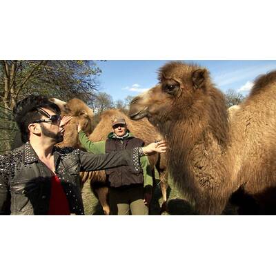 Glööckler, Glanz und Gloria am 21. August 
