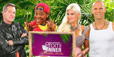 Promi Dinner Dschungel