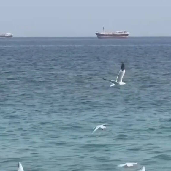 Kerosin-Mangel: Jetzt drohen tausende Flugausfälle