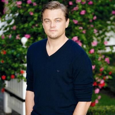 Der grüne Guide 2011