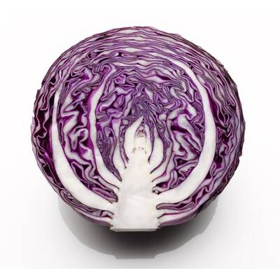 Lebensmittel ohne Kohlenhydrate