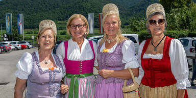 Marillenkirtag: Mikl-Leitner mit "goldener Marille" geadelt