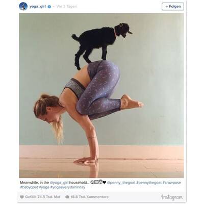 Diese Yoga-Übungen machen tierisch Spaß