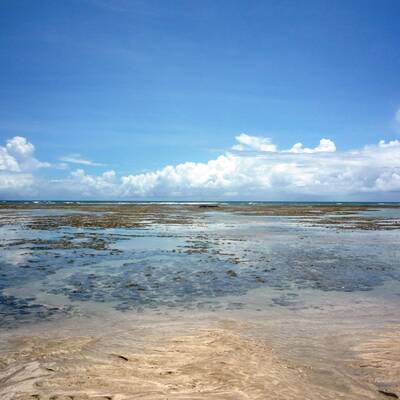 10. Praia do Rosa Beach