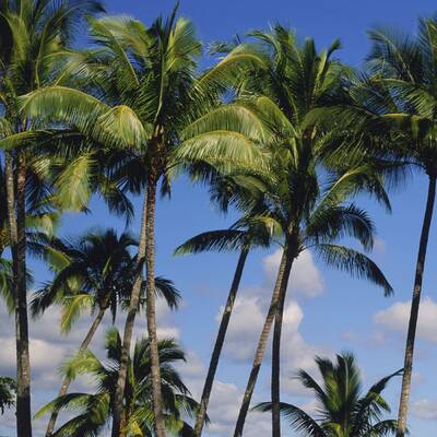 Platz 10: Vancouver Island (Kanada)