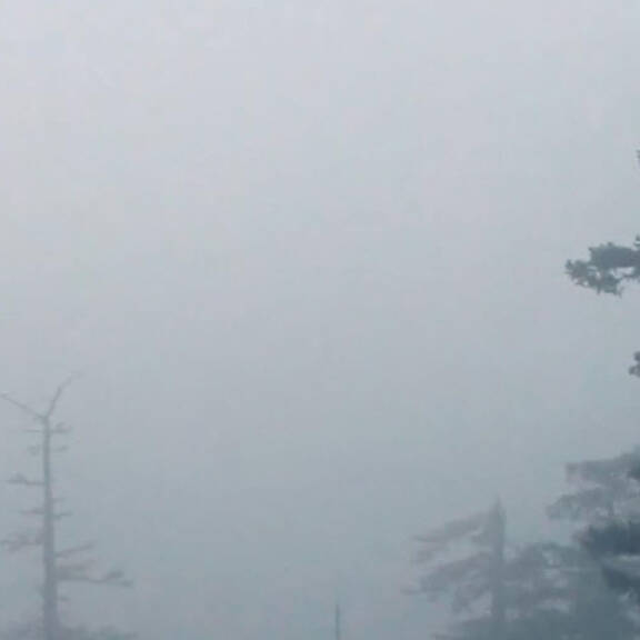 Jäger (42) in den Kopf geschossen: tot