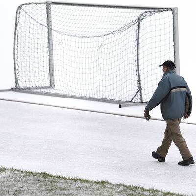 Vogelschar auf der Marswiese
