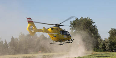 Ein Toter nach Frontalcrash in Baden