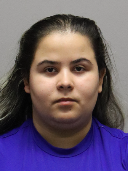 BEtrügerin Polizei Opfer Gesucht NÖ