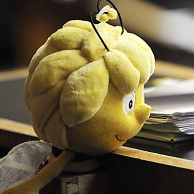 Die Bilder zur Bienen-Sitzung