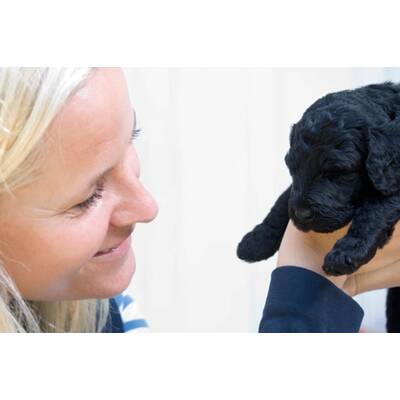 Mette-Marit und Prinz Haakon im Hunde-Glück