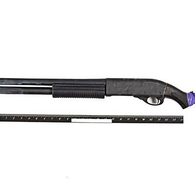 Die FBI-Bilder vom Washington-Blutbad