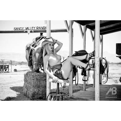 Fine Nude Art Kalender 2014