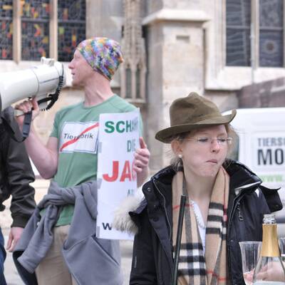 Pelzgegner demonstrieren am Stephansplatz