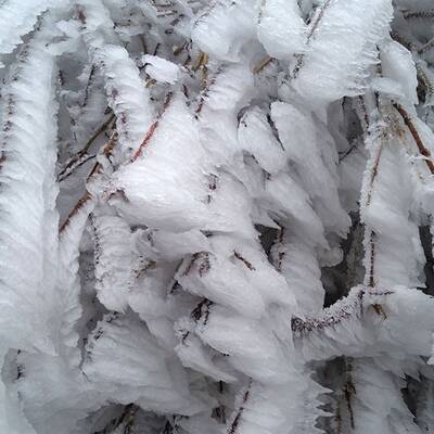 Waidhofen an der Thaya, NÖ