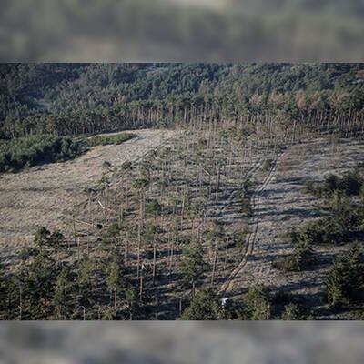 So enorm sind die Schäden